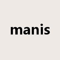 manis是什么意思
