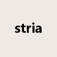 stria是什么意思
