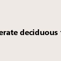 temperate deciduous forest是什么意思