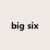 big six是什么意思