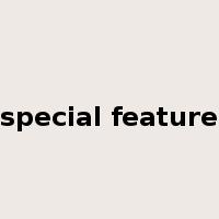 special feature是什么意思
