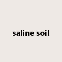 saline soil是什么意思