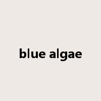 blue algae是什么意思