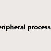 peripheral processor是什么意思