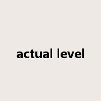 actual level是什么意思