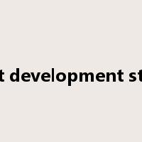 market development strategy是什么意思