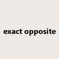 exact opposite是什么意思