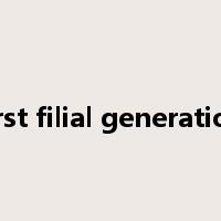 first filial generation是什么意思