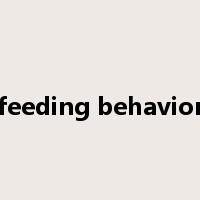 feeding behavior是什么意思