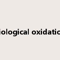 biological oxidation是什么意思