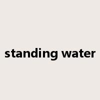 standing water是什么意思