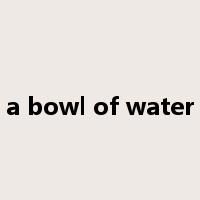 a bowl of water是什么意思