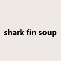 shark fin soup是什么意思