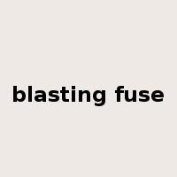 blasting fuse是什么意思