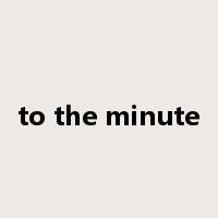 to the minute是什么意思