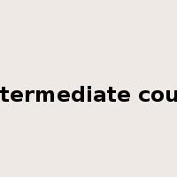 intermediate court是什么意思