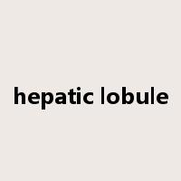 hepatic lobule是什么意思