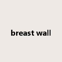 breast wall是什么意思