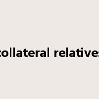 collateral relatives是什么意思