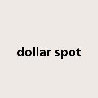 dollar spot是什么意思