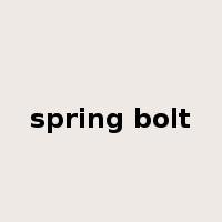 spring bolt是什么意思