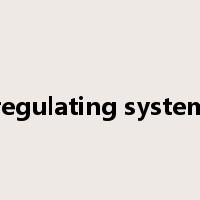 regulating system是什么意思