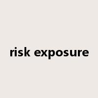 risk exposure是什么意思