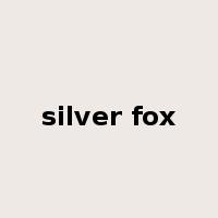 silver fox是什么意思