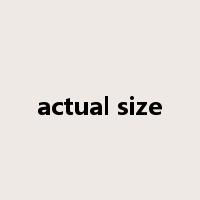 actual size是什么意思