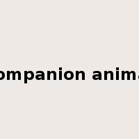 companion animal是什么意思