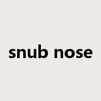 snub nose是什么意思