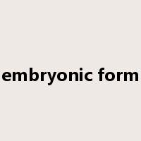 embryonic form是什么意思
