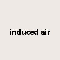 induced air是什么意思