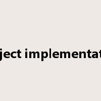 project implementation是什么意思