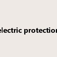 electric protection是什么意思