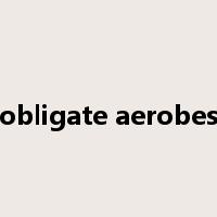 obligate aerobes是什么意思