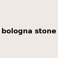 bologna stone是什么意思