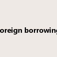 foreign borrowing是什么意思