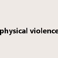 physical violence是什么意思
