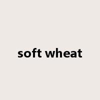 soft wheat是什么意思