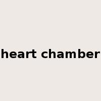 heart chamber是什么意思