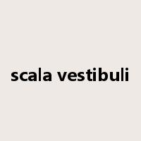 scala vestibuli是什么意思