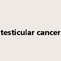 testicular cancer是什么意思