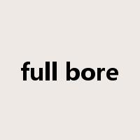 full bore是什么意思