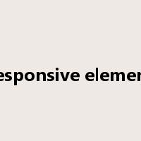 responsive element是什么意思