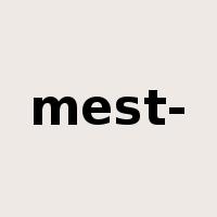 mest-是什么意思