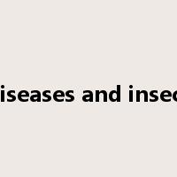 plant diseases and insect pests是什么意思