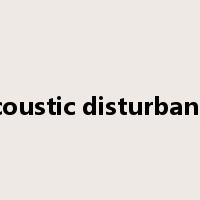acoustic disturbance是什么意思