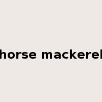 horse mackerel是什么意思