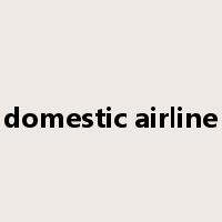 domestic airline是什么意思